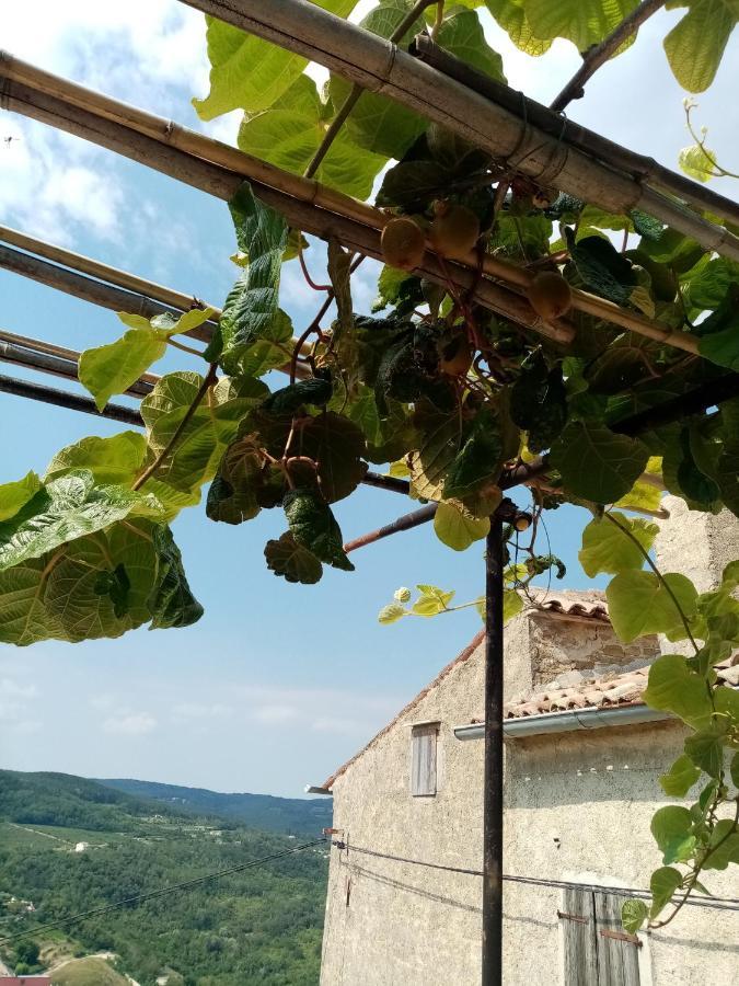 Rooms Serafin-Lavanda Motovun Exterior foto